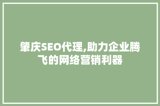 肇庆SEO代理,助力企业腾飞的网络营销利器