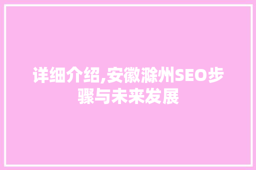 详细介绍,安徽滁州SEO步骤与未来发展