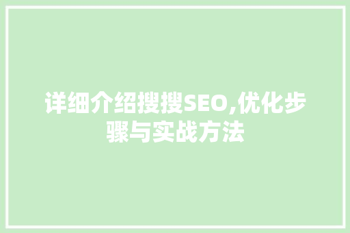 详细介绍搜搜SEO,优化步骤与实战方法