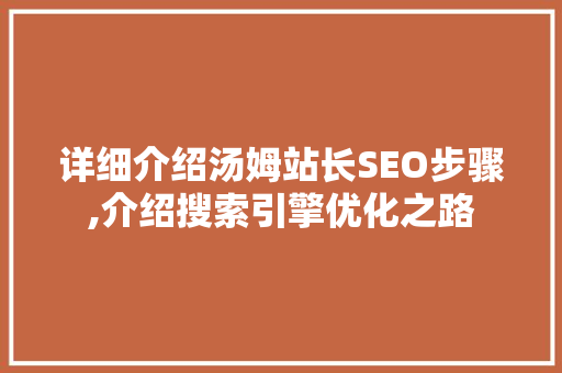详细介绍汤姆站长SEO步骤,介绍搜索引擎优化之路