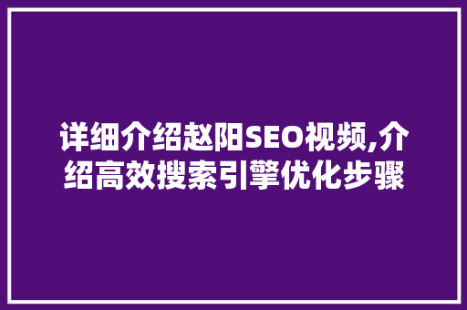 详细介绍赵阳SEO视频,介绍高效搜索引擎优化步骤