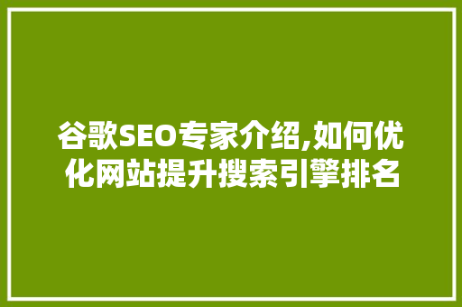 谷歌SEO专家介绍,如何优化网站提升搜索引擎排名