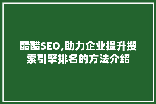 醋醋SEO,助力企业提升搜索引擎排名的方法介绍