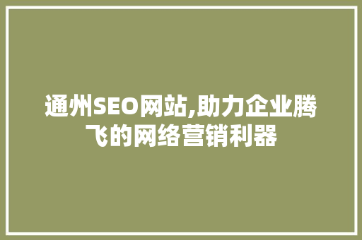 通州SEO网站,助力企业腾飞的网络营销利器