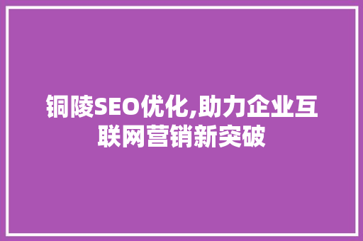 铜陵SEO优化,助力企业互联网营销新突破