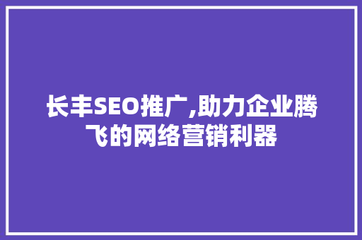 长丰SEO推广,助力企业腾飞的网络营销利器