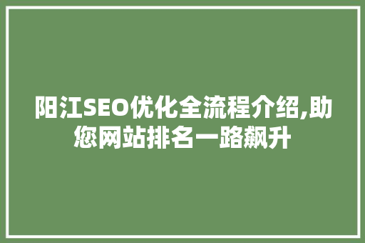 阳江SEO优化全流程介绍,助您网站排名一路飙升
