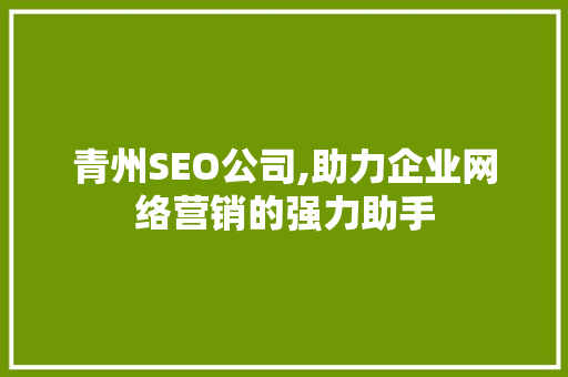 青州SEO公司,助力企业网络营销的强力助手