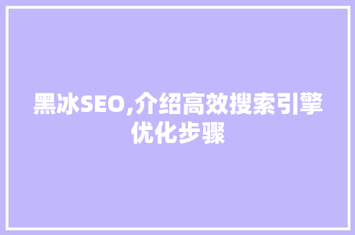 黑冰SEO,介绍高效搜索引擎优化步骤