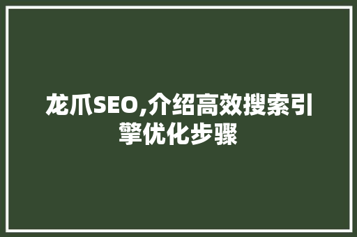 龙爪SEO,介绍高效搜索引擎优化步骤