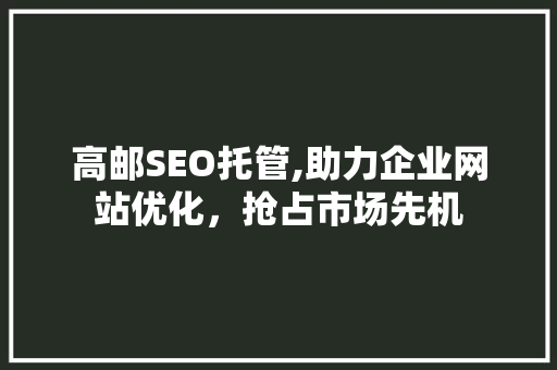 高邮SEO托管,助力企业网站优化，抢占市场先机