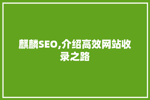 麒麟SEO,介绍高效网站收录之路