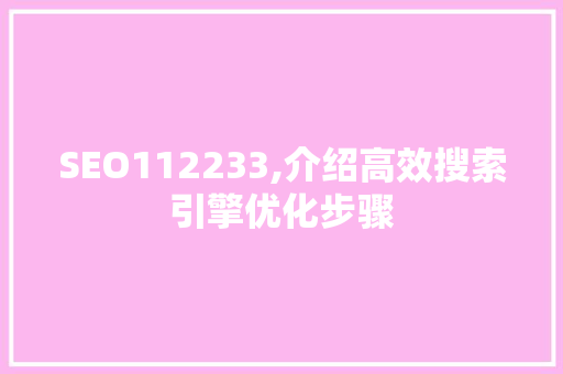 SEO112233,介绍高效搜索引擎优化步骤