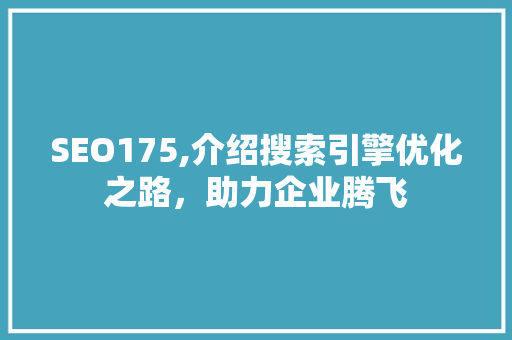SEO175,介绍搜索引擎优化之路，助力企业腾飞