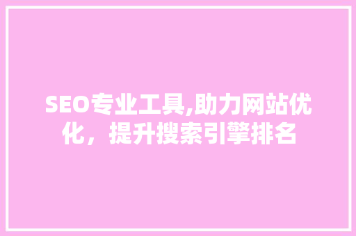 SEO专业工具,助力网站优化，提升搜索引擎排名