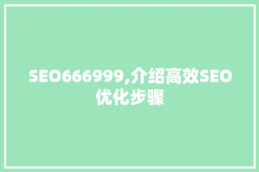 SEO666999,介绍高效SEO优化步骤