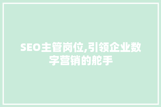 SEO主管岗位,引领企业数字营销的舵手