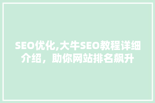 SEO优化,大牛SEO教程详细介绍，助你网站排名飙升