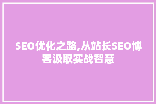 SEO优化之路,从站长SEO博客汲取实战智慧