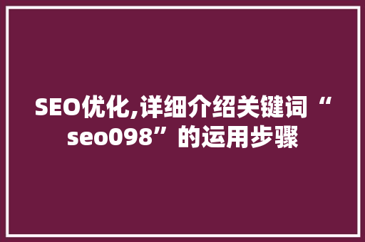 SEO优化,详细介绍关键词“seo098”的运用步骤