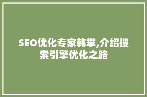 SEO优化专家韩攀,介绍搜索引擎优化之路