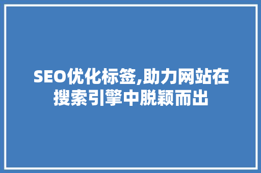SEO优化标签,助力网站在搜索引擎中脱颖而出
