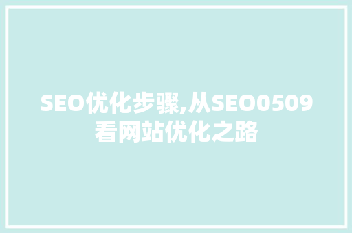 SEO优化步骤,从SEO0509看网站优化之路
