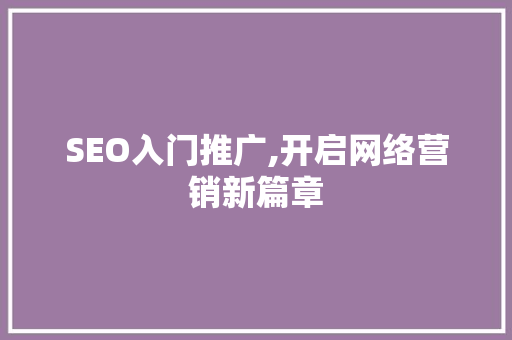 SEO入门推广,开启网络营销新篇章
