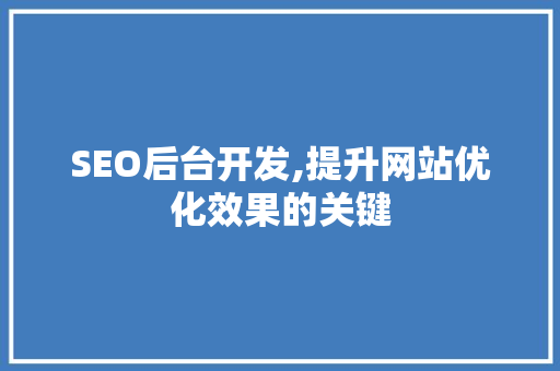 SEO后台开发,提升网站优化效果的关键