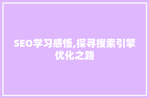 SEO学习感悟,探寻搜索引擎优化之路