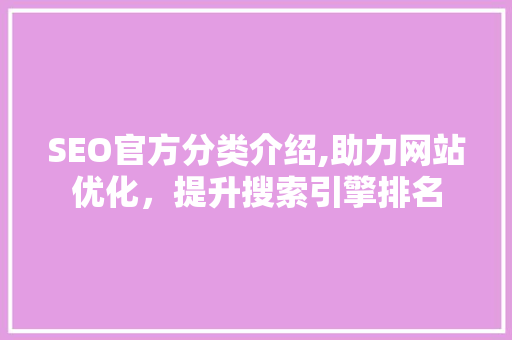 SEO官方分类介绍,助力网站优化，提升搜索引擎排名