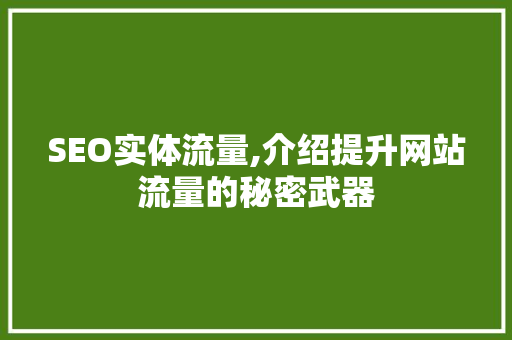 SEO实体流量,介绍提升网站流量的秘密武器