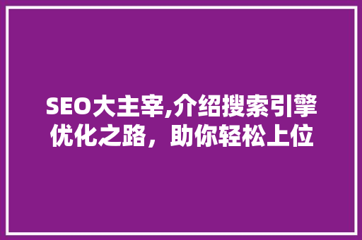 SEO大主宰,介绍搜索引擎优化之路，助你轻松上位