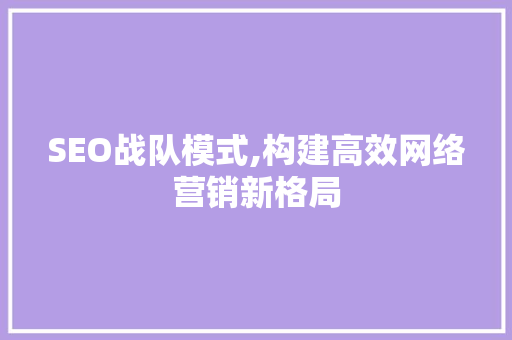 SEO战队模式,构建高效网络营销新格局