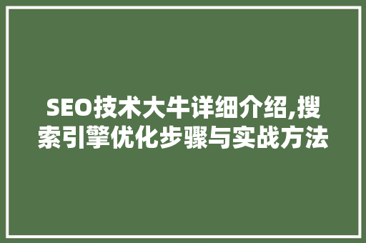 SEO技术大牛详细介绍,搜索引擎优化步骤与实战方法