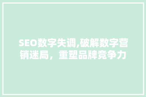 SEO数字失调,破解数字营销迷局，重塑品牌竞争力