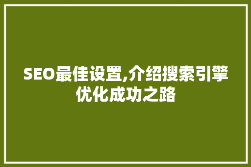 SEO最佳设置,介绍搜索引擎优化成功之路