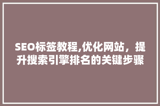 SEO标签教程,优化网站，提升搜索引擎排名的关键步骤