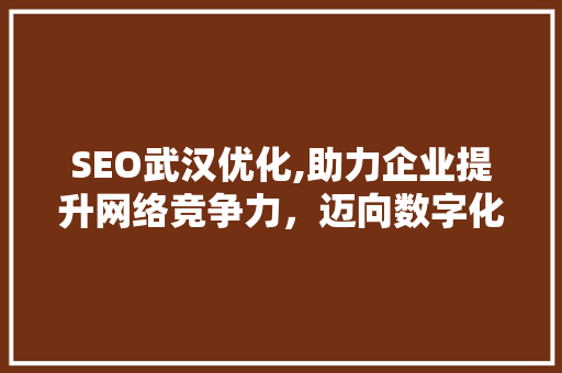SEO武汉优化,助力企业提升网络竞争力，迈向数字化未来
