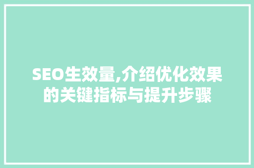 SEO生效量,介绍优化效果的关键指标与提升步骤