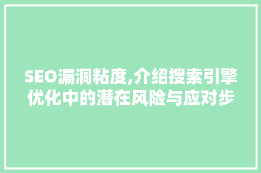 SEO漏洞粘度,介绍搜索引擎优化中的潜在风险与应对步骤