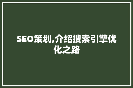 SEO策划,介绍搜索引擎优化之路