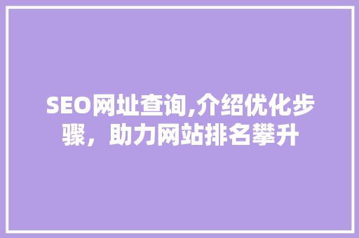 SEO网址查询,介绍优化步骤，助力网站排名攀升