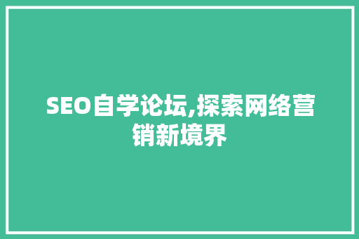 SEO自学论坛,探索网络营销新境界