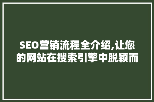 SEO营销流程全介绍,让您的网站在搜索引擎中脱颖而出