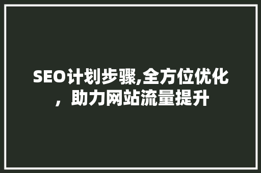 SEO计划步骤,全方位优化，助力网站流量提升
