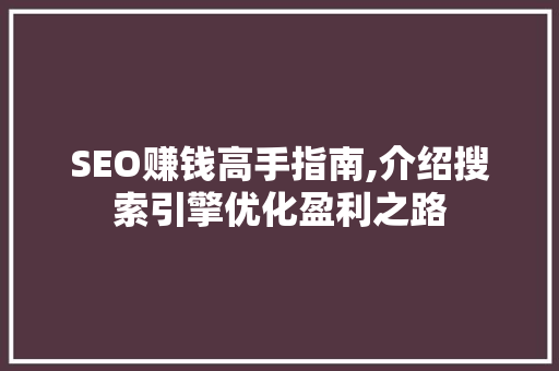 SEO赚钱高手指南,介绍搜索引擎优化盈利之路