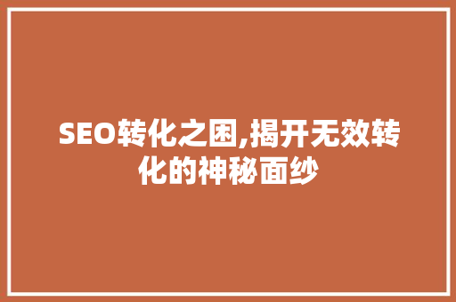 SEO转化之困,揭开无效转化的神秘面纱