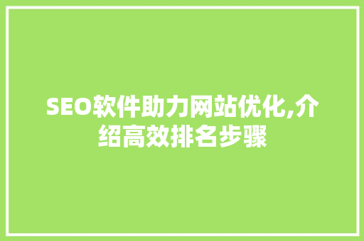 SEO软件助力网站优化,介绍高效排名步骤