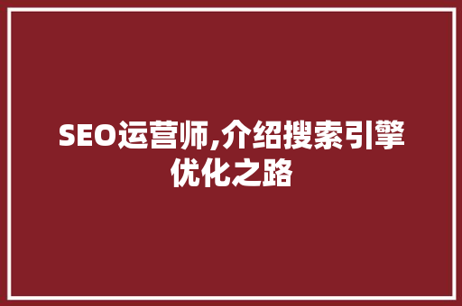 SEO运营师,介绍搜索引擎优化之路
